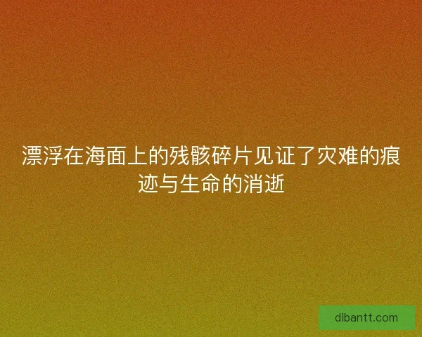 漂浮在海面上的残骸碎片见证了灾难的痕迹与生命的消逝